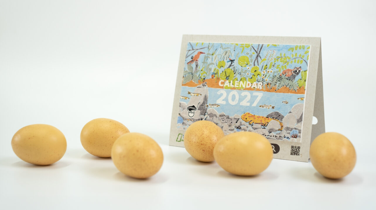 リングレスカレンダー2027