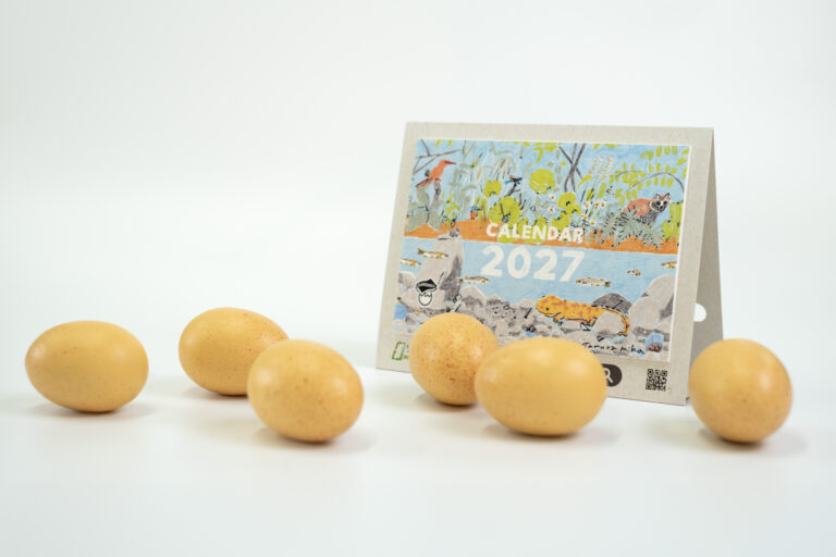 【速報】2027年版リングレスカレンダーサイトリニューアル!