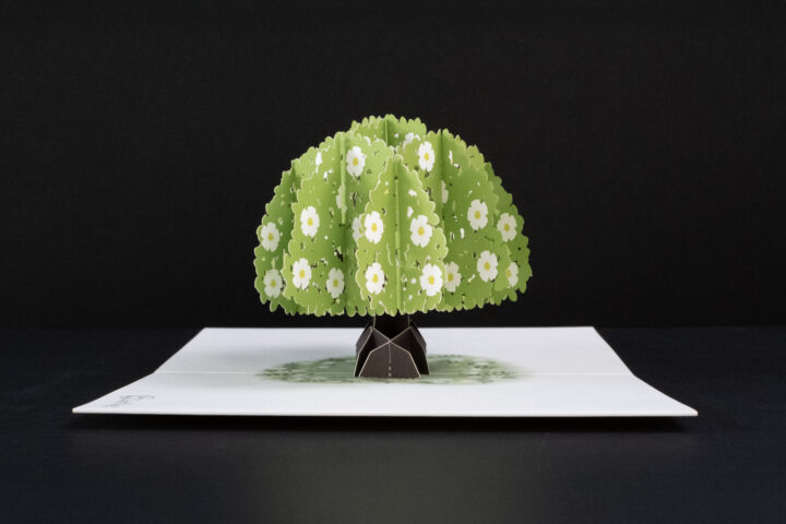 ポップアップカード 切り絵 オリジナル 木 tree ペーパークラフト