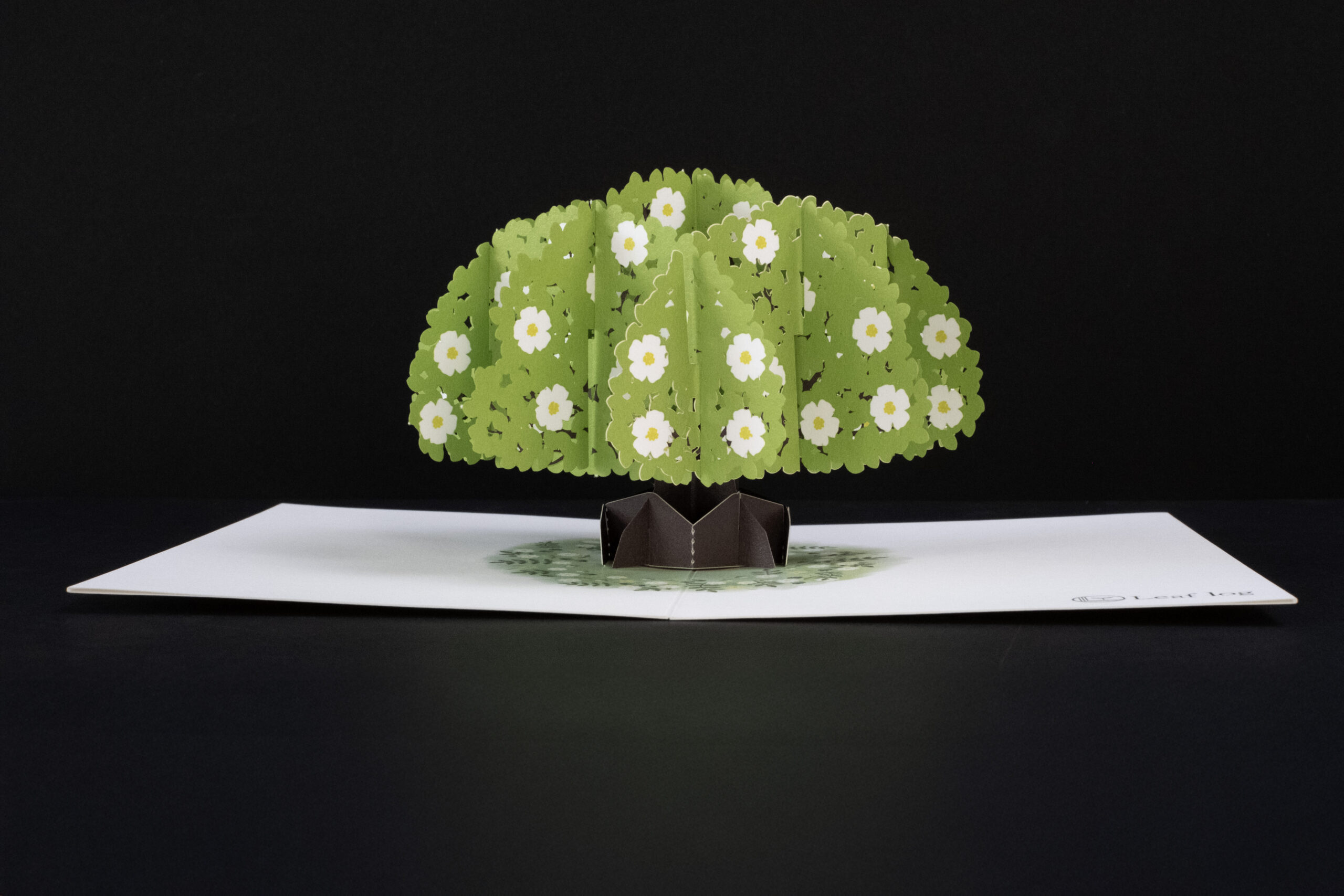 ポップアップカード 切り絵 オリジナル 木 tree ペーパークラフト